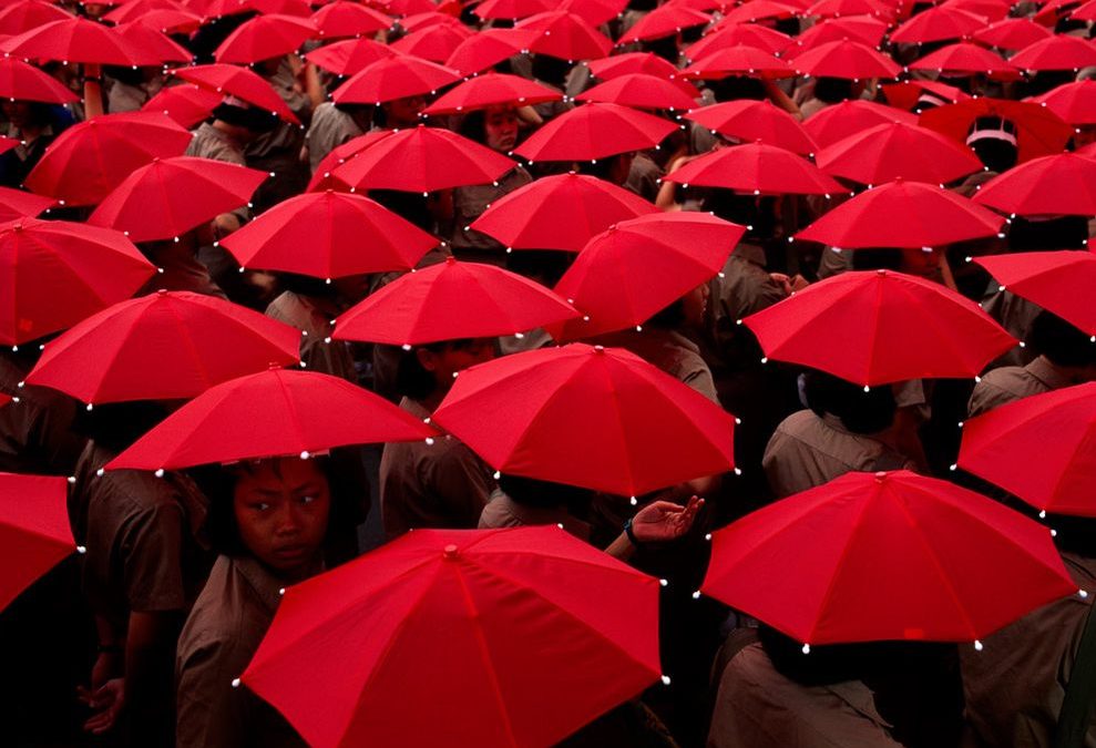 red-umbrellas-cobb-sinpro
